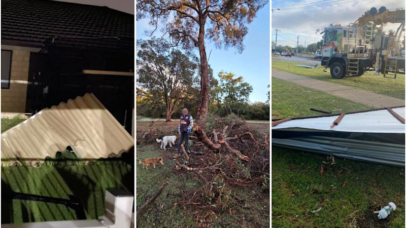 Bureau investigating if Bunbury wild weather was a tornado