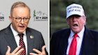 Anthony Albanese may attend NATO if he can line up a meeting with Donald Trump.