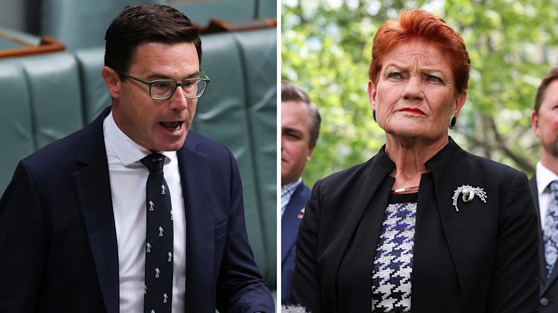 Once bitten, gun shy: Why Pauline Hanson lurked behind the Coalition’s call to oppose gun laws