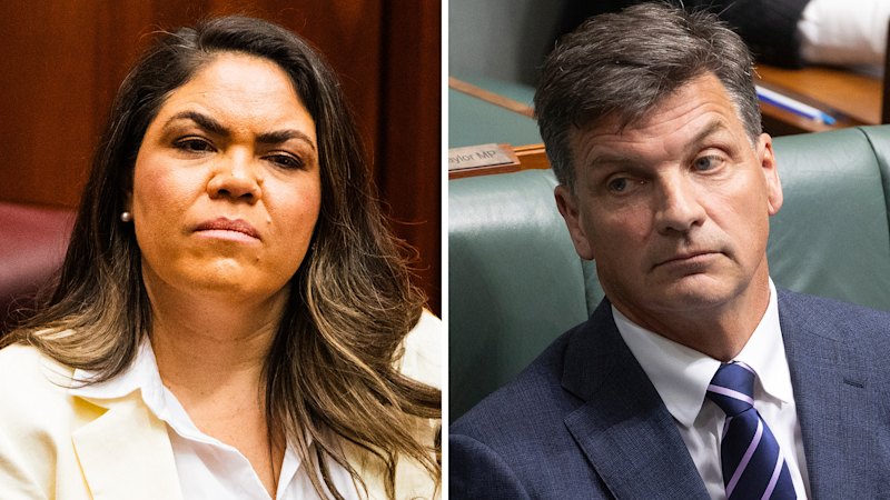 Jacinta Price ‘chickened out’ of deputy vote, say infuriated and blindsided Angus Taylor backers