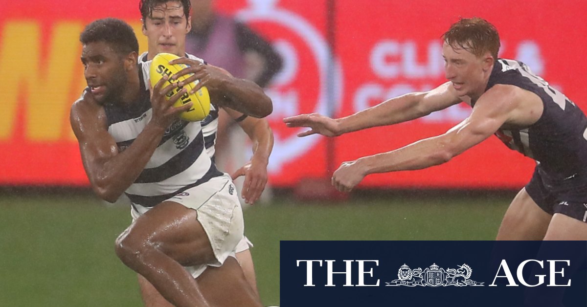 Cats Give Dockers A Bath In Wet Perth