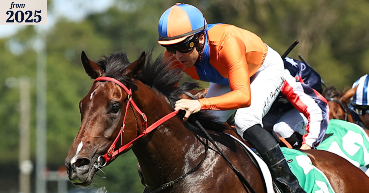 Race-by-race preview and tips for Randwick on Saturday