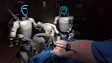 The world-first surgery was conducted on a domestic pig.