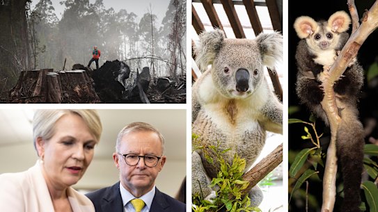 State of the environment composite