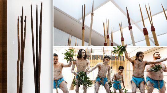 Spears taken by Captain Cook from Kamay (Botany Bay) in 1770 are being displayed at the Chau Chak Wing Museum.