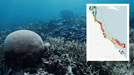 The map that reveals the shocking extent of Great Barrier Reef coral bleaching