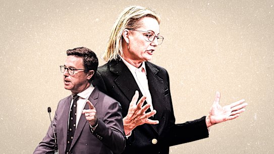 Nationals leader David Littleproud and Liberal leader Sussan Ley.