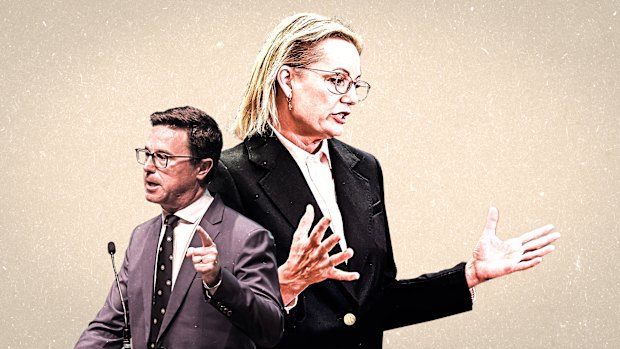 Nationals leader David Littleproud and Liberal leader Sussan Ley.
