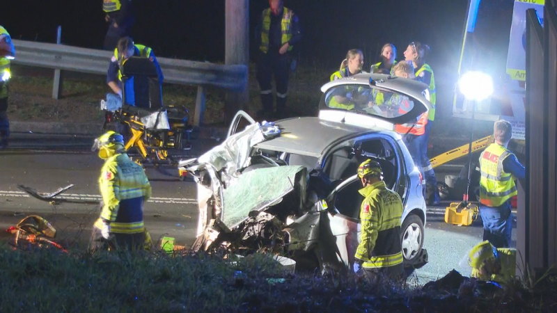 Heckenberg crash: Siblings killed after head-on collision in south-west  Sydney