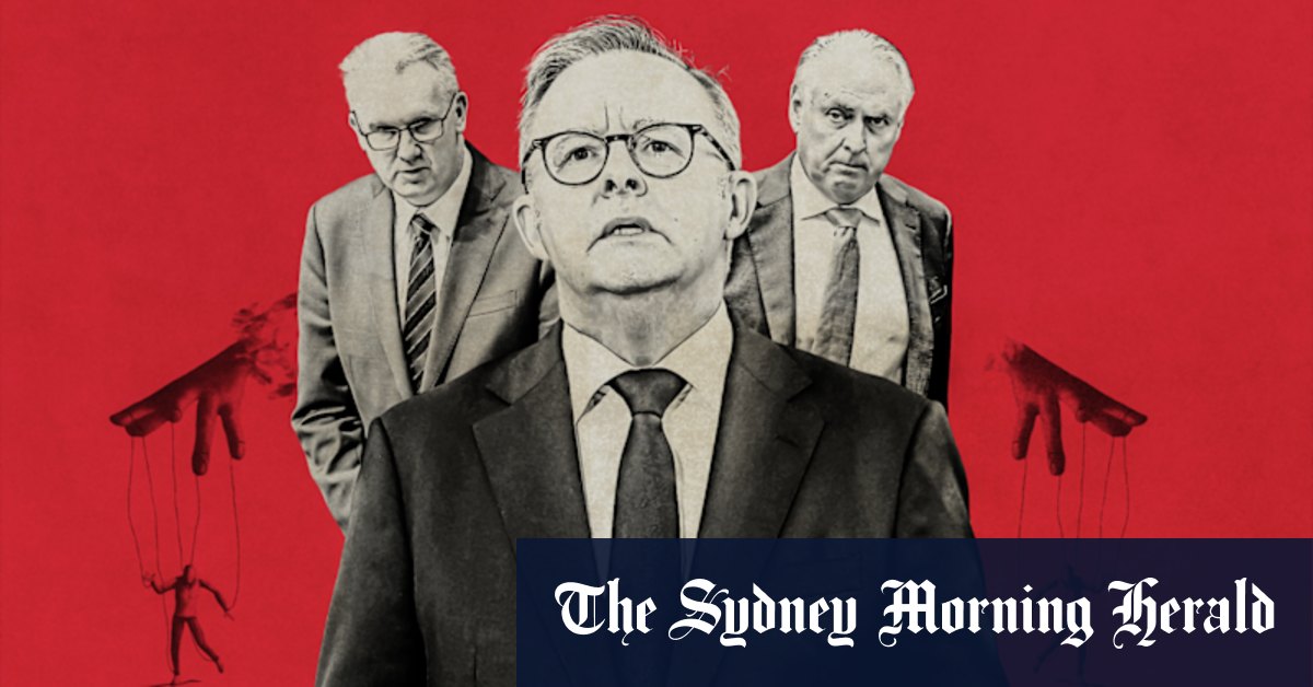 How Anthony Albanese’s popularity helped Labor’s left faction finally take power in party