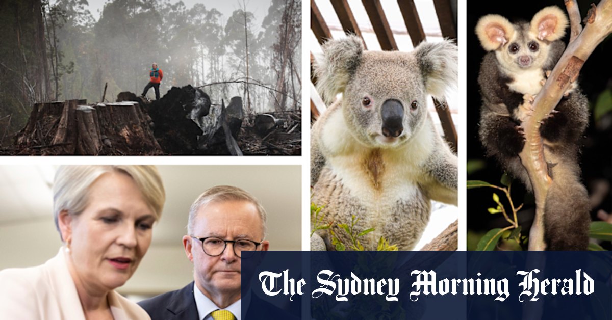 State of the Environment report exposes Australia's rapidly deteriorating environment in test for Albanese government - Vimarsana News