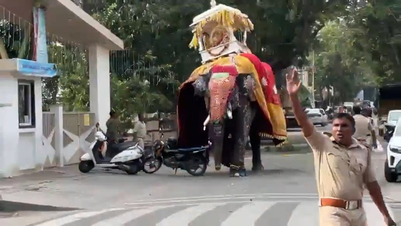 Sacred elephant carrying 650kg gold shrine goes on a rampage