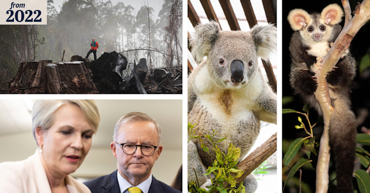 State of the Environment report exposes Australia’s deteriorating ...