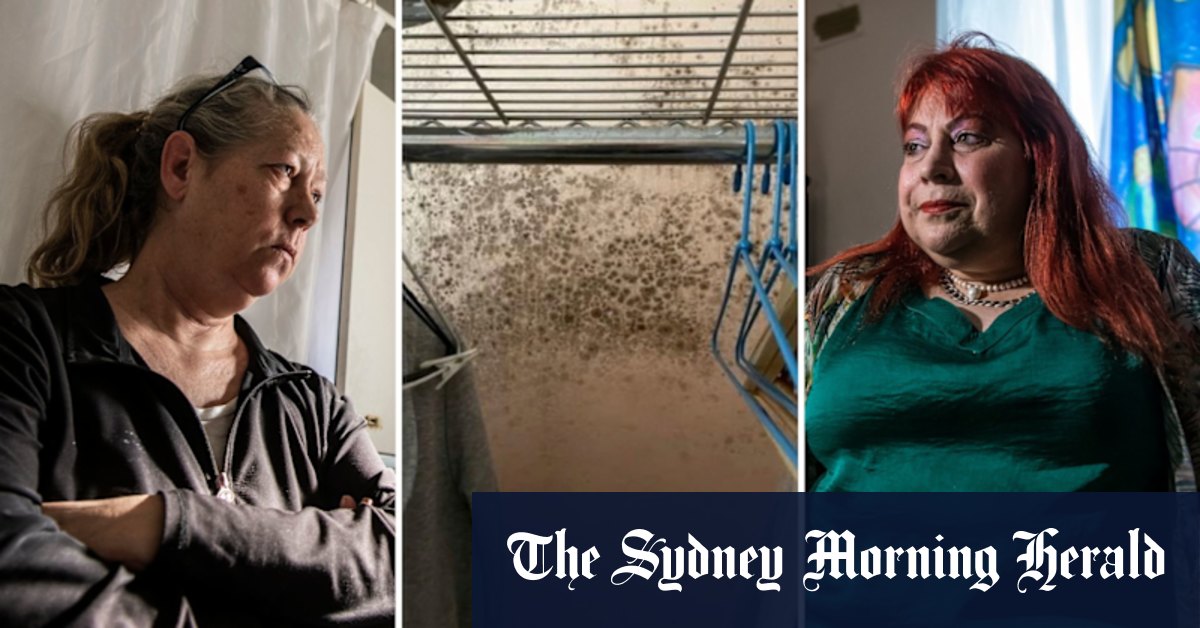 NSW public housing tenants complaints about black mould ignored - Vimarsana News