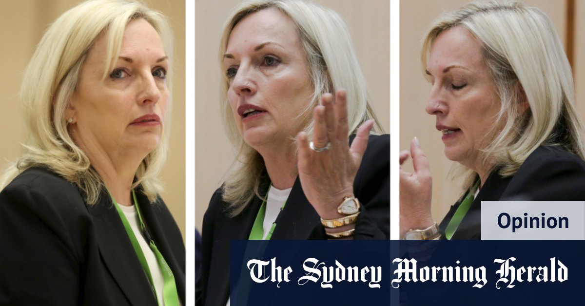 Christine Holgate controversy stirs difficult memories