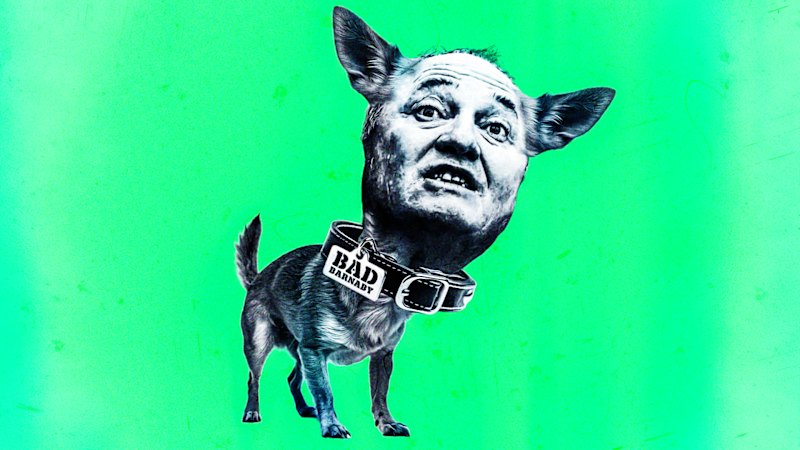 Is it ever OK to yell at your dog? These experts have advice for Barnaby Joyce