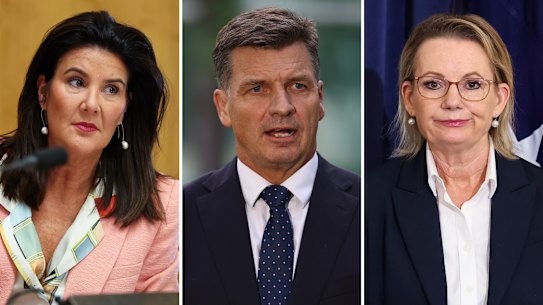 Liberals Jane Hume, Angus Taylor and Sussan Ley. 