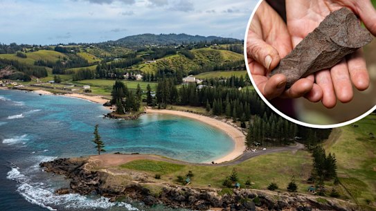 Composite of Norfolk Island and Neil “Snowy” Tavener holding a Polynesian adze at the archaeological dig site.