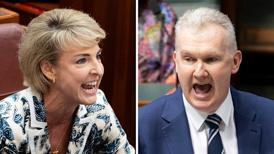 Opposition industrial relations spokeswoman Michaelia Cash and Workplace Relations Minister Tony Burke.