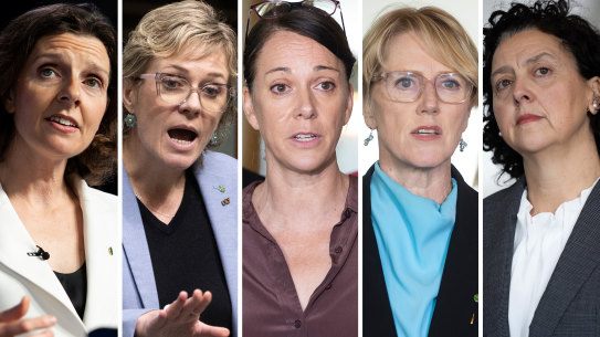 Teal appeal: Independent MPs Allegra Spender, Zali Steggall, Sophie Scamps, Zoe Daniel and Monique Ryan.