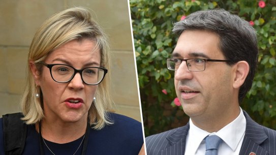 WA Liberals leader Libby Mettam and ‘The Clan’ powerbroker, MLC Nick Goiran.