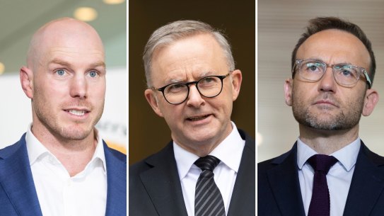 David Pocock, Anthony Albanese, Adam Bandt