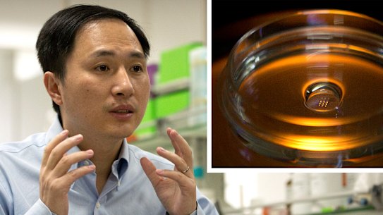 'Pandora’s box has been opened’: Scientist's baby gene-editing claim fuels backlash