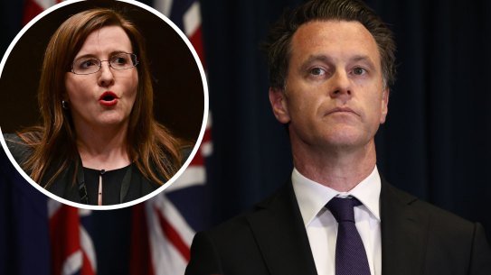 NSW Labor leader Chris Minns and, inset, Tania Mihailuk. 