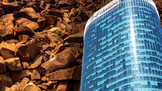 Traditional owners are upset with a Pluto contract given to the business run by the chair of the Murujuga Aboriginal Corporation.