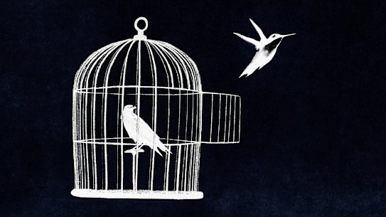 Prison education programs reduce the likelihood of ex-inmates reoffending. 