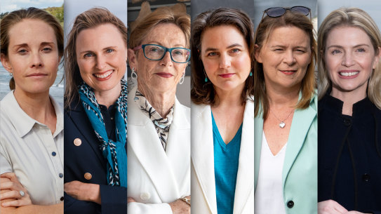 Teals are lining up to take on the Liberal Party in its heartland.