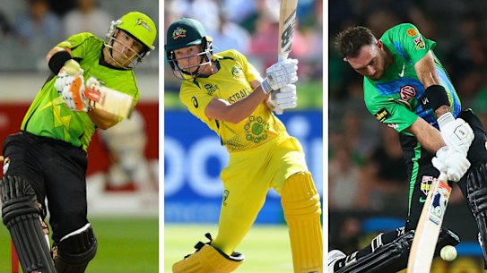 In the money: Australian cricket stars David Warner, Meg Lanning and Glenn Maxwell.