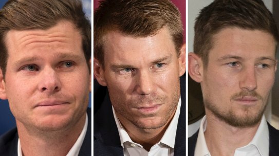 Siddle says ball-tampering trio should serve out bans