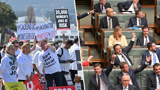 Several hundred pharmacists protest outside Parliament House in Canberra on Monday and (right) members of the opposition shouted and pointed to the pharmacists in the public gallery during question time.