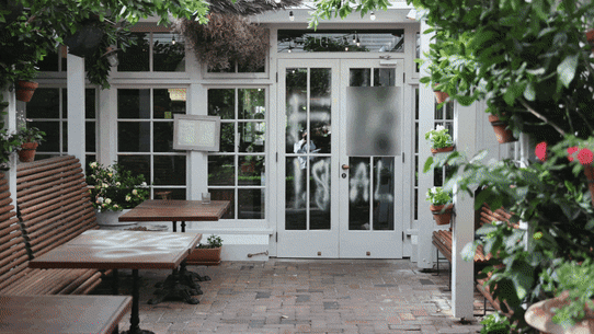 Woollahra was targeted with a string of anti-semetic vandalism overnight including defacing restaurants, cars, and properties, Thursday 21st of November 2024. Photo: Dion Georgopoulos / The Sydney Morning Herald