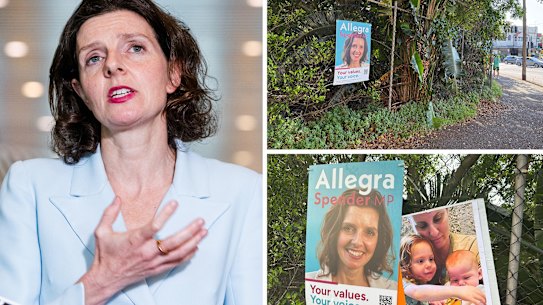 Allegra Spender and pictures of the campaign poster with and without the Bibas family behind it. 