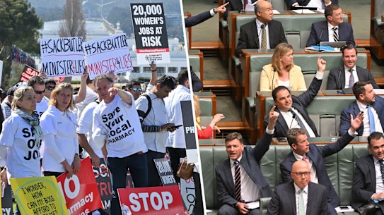 Several hundred pharmacists protest outside Parliament House in Canberra on Monday and (right) members of the opposition shouted and pointed to the pharmacists in the public gallery during question time.