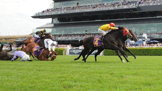 Backing up: David Payne will start both Persan and War Baron in the Champagne Stakes despite falls in last week's Fernhill Handicap.