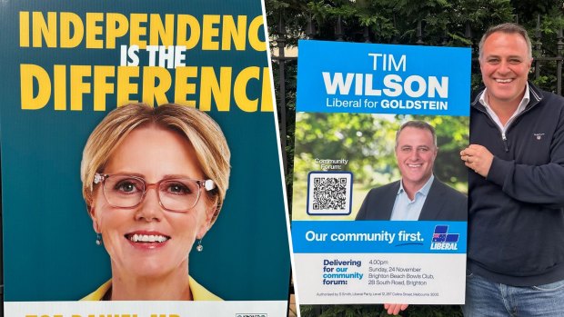 Too soon! Tim Wilson and Zoe Daniel reignite election corflute wars