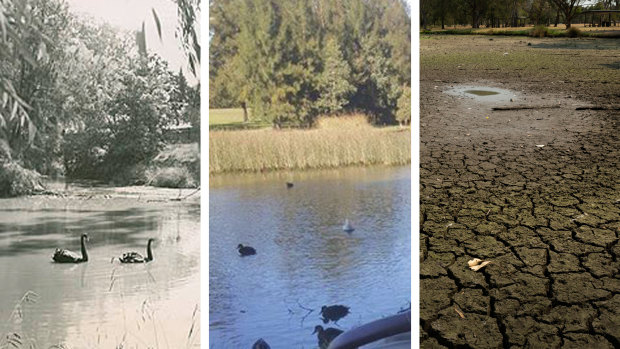 'Absolutely bone dry': The Sydney duck ponds that have fallen victim to the drought