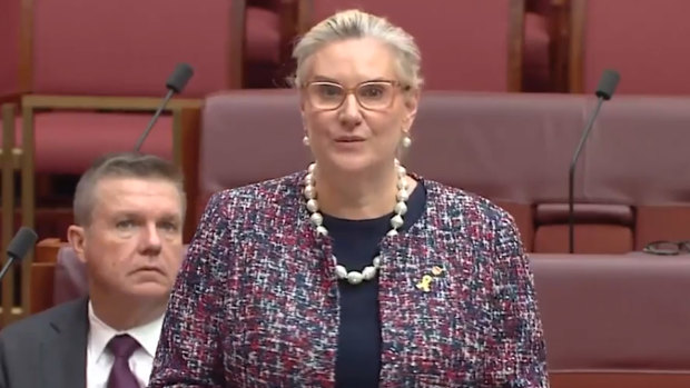 Liberal Senator Hollie Hughes speaking about her autistic son and the future of the NDIS during her final speech in the Senate.