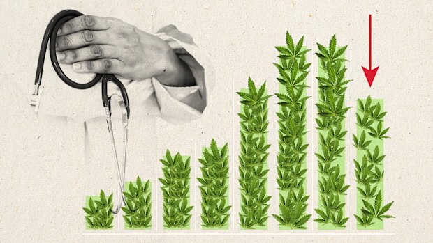 The Penington Institute described a 28.5 per cent fall in medicinal cannabis sales as a ‘market correction’ following a tightening of prescription rules by regulators.