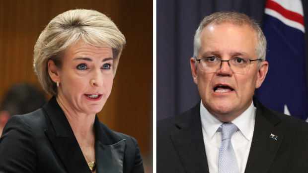 ‘Chuck it in the bin’: Experts underwhelmed by proposed changes to defamation bill