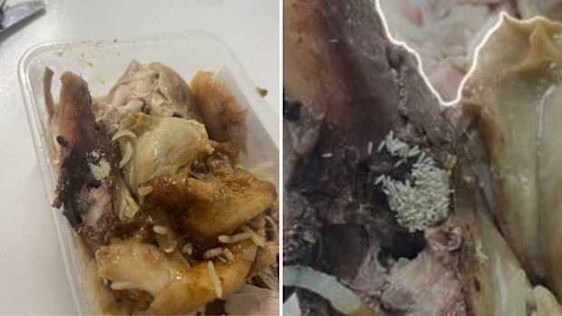 Maggot-infested meals allegedly served at the Genex Pumped Storage Hydro Project at Kidston on January 10.