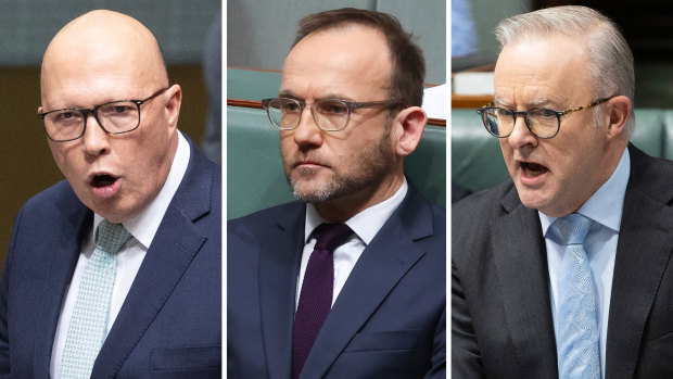 Fury on the floor: Dutton and Albanese clash with Greens over Gaza protests