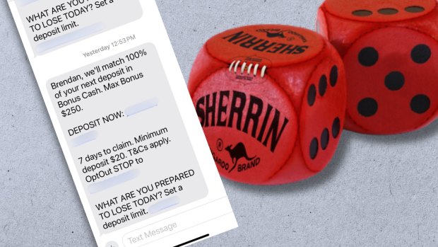 I thought I was just an average Perth punter. Then I saw my addiction for what it was
