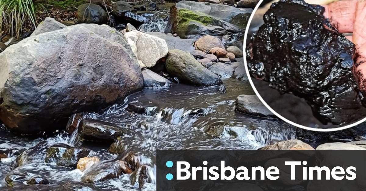 Royal National Park creek runs black after coal mine pollution incident - Vimarsana News