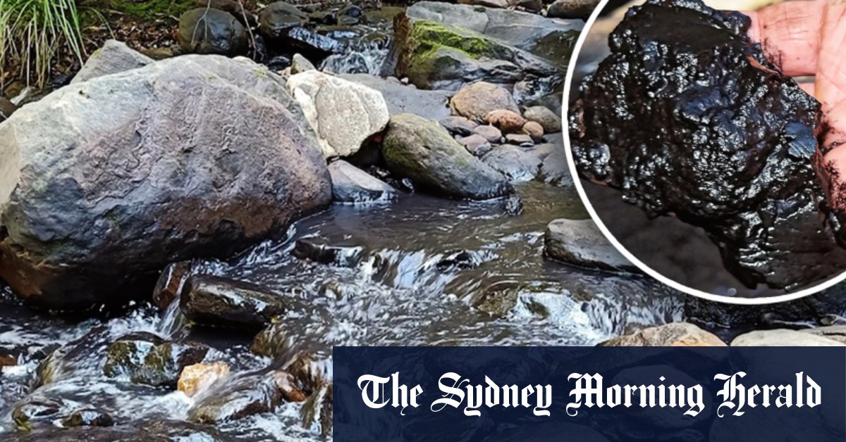 Royal National Park creek runs black after coal mine pollution incident – Sydney Morning Herald