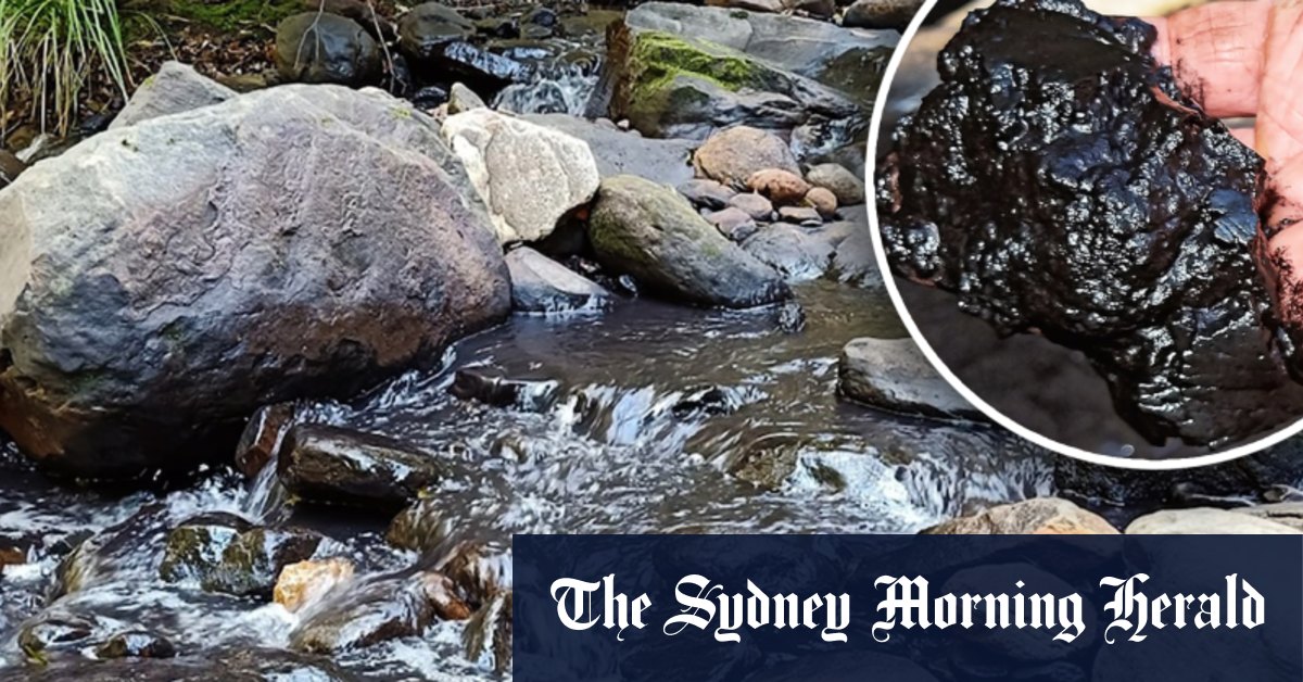 Royal National Park creek runs black after coal mine pollution incident - Vimarsana News