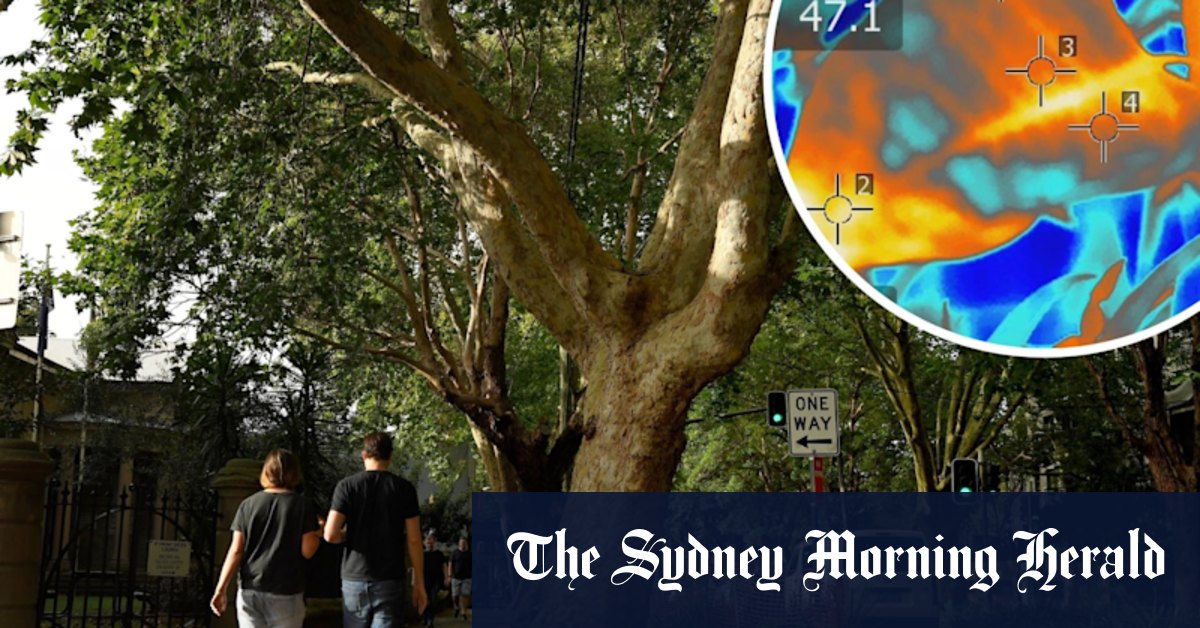 In a hotter Sydney, some trees will thrive, others will wither - Vimarsana News